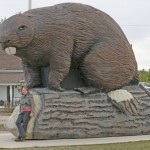 That's a big beaver!